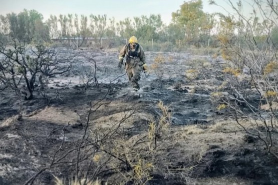 Un rayo impactó en un loro, se prendió fuego y desató un incendio en Puerto Madryn