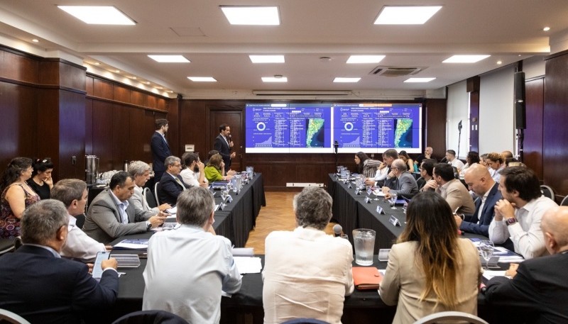 Chubut participó de la primera edición del año del Consejo Federal de Salud