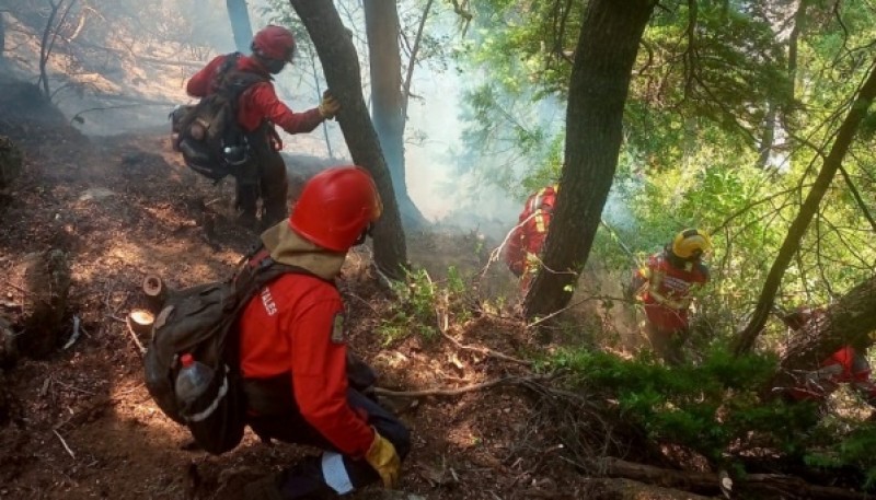 Se logró contener sectores del incendio en Epuyén