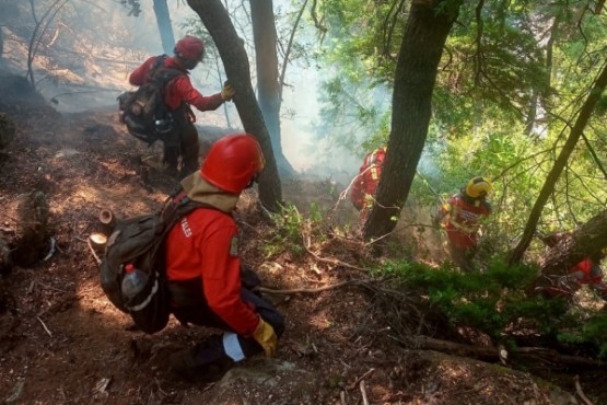 Se logró contener sectores del incendio en Epuyén