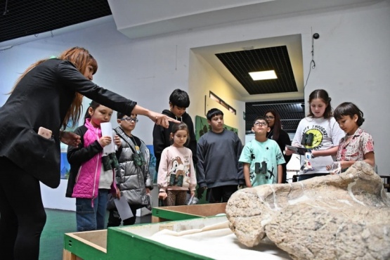 Actividades de verano: Viaje por la prehistoria de Santa Cruz