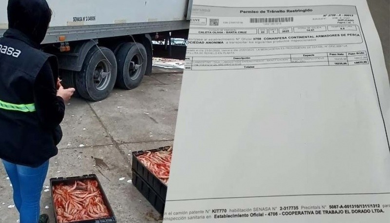 Detectan maniobra de “blanqueo” de langostino ilegal