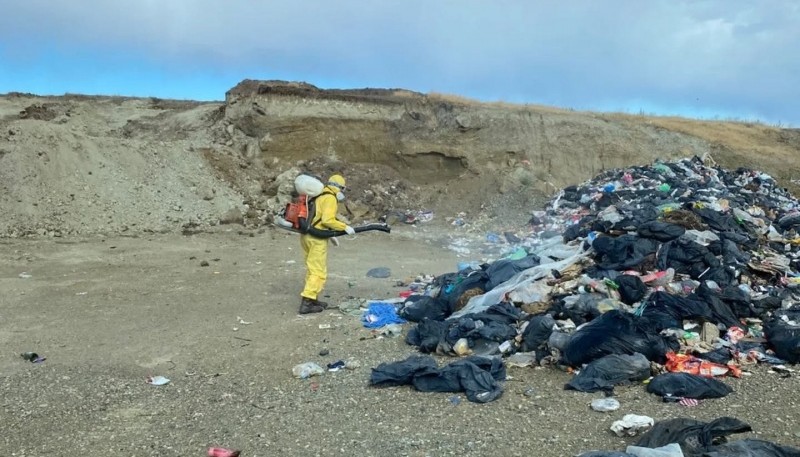 Invasión de moscas: fumigación en el Vaciadero Municipal y consejos para combatirlas en el hogar