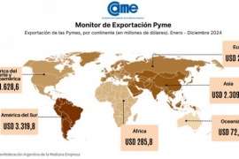 Exportaciones pymes cerraron el 2024 con un crecimiento interanual del 17,3% en dólares