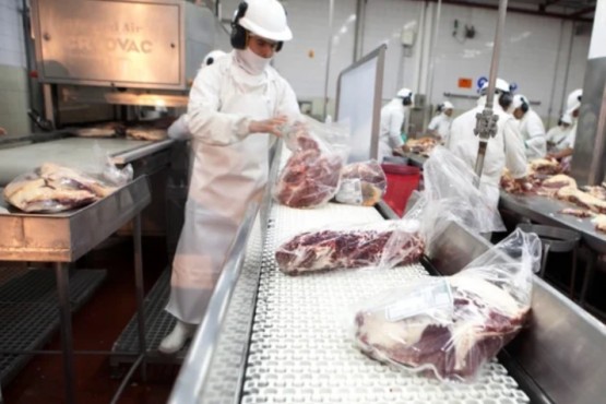 El Gobierno distribuyó el cupo para exportar carne vacuna asignado por Estados Unidos