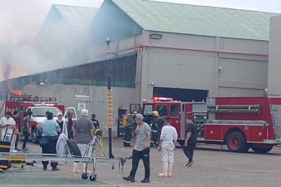 La Policía confirmó que el incendio en la Pesquera Vepez fue intencional