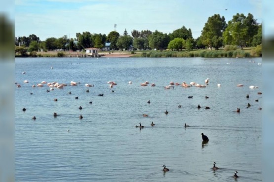 Trelew fue declarada 