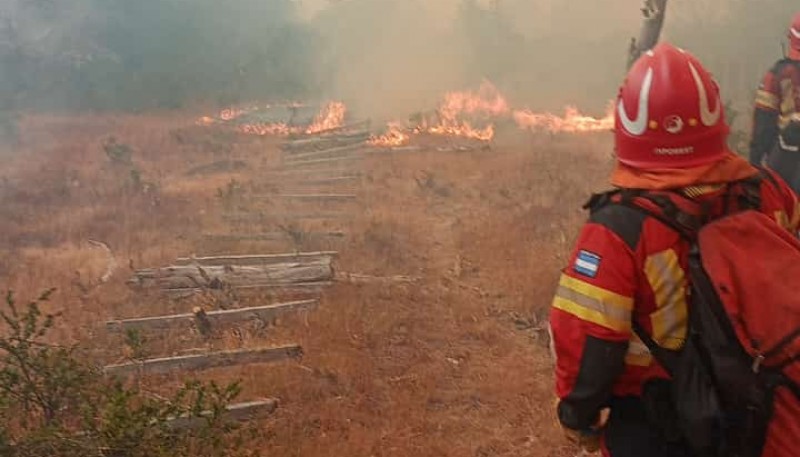 El Gobierno de la Provincia continúa al frente de los operativos para sofocar los incendios en la cordillera