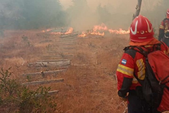 El Gobierno de la Provincia continúa al frente de los operativos para sofocar los incendios en la cordillera