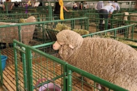 Todo listo para la 87° edición de la Exposición Ganadera de la Sociedad Rural