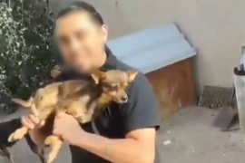 Denuncian a un sujeto por maltrato animal