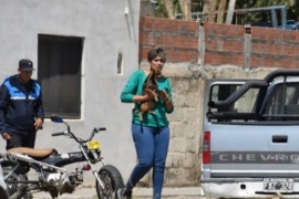 Rescataron al cachorro que un empleado municipal ahogó en un balde de agua