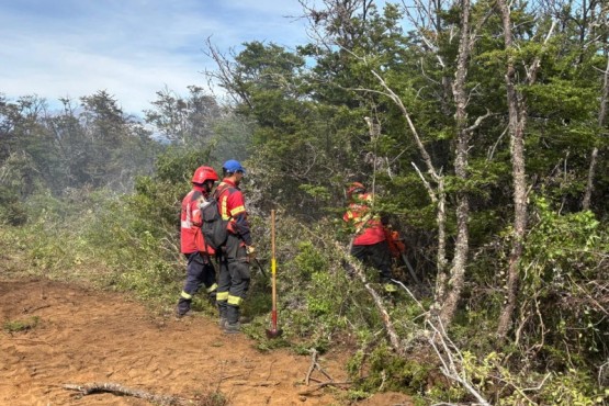 El Gobierno de la Provincia refuerza el operativo para controlar el incendio registrado en Atilio Viglione