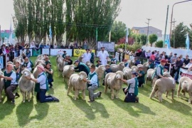 Avanzan los preparativos para la Expo Rural 2025