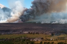 Importante despliegue para combatir incendios forestales en la cordillera