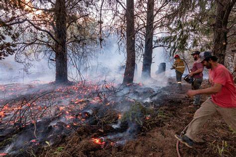 Los incendios en la Patagonia ya dejaron un muerto y más de 2.700 hectáreas arrasadas