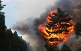 Confirmaron que los incendios en Epuyén y El Bolsón fueron intencionales