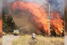 "La situación es desgarradora”, dijo el presidente del comité de Bomberos de El Bolsón