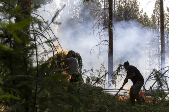 Gobernadores patagónicos se unen para enfrentar los incendios forestales