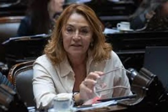 Diputada de la Coalición Cívica anticipa que votará por suspender las PASO