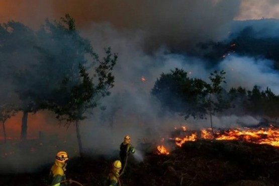 Incendios en El Bolsón: el emocionante llanto de los vecinos por la lluvia