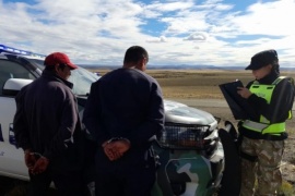 Detenidos por tener 21 guanacos faenados