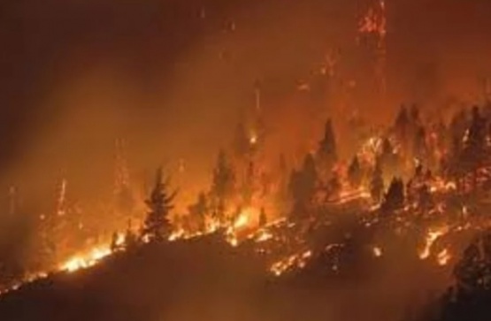 Ingresó al Congreso el proyecto que agrava penas para quienes causen incendios