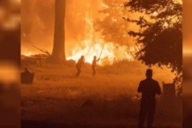 CAME solicita tratamiento que declare la emergencia en Río Negro y Chubut