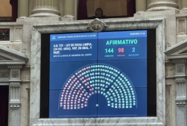 Ficha Limpia: cómo votaron los diputados de Santa Cruz