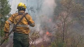 El fuego no cesa y hay reclamos al Gobierno nacional por reducción de presupuesto