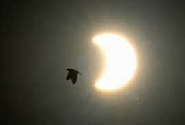 Eclipse en Argentina: cuándo se verán los 4 en todo el país