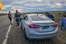 Bomberos asistió a un conductor que impacto con un guanaco