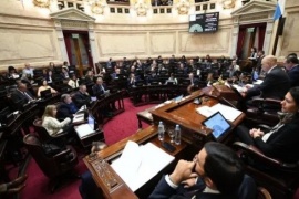 El Senado tratará este jueves la suspensión de las PASO