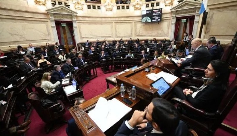 El Senado tratará este jueves la suspensión de las PASO