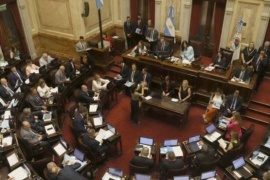 El Senado debate la suspensión de las PASO