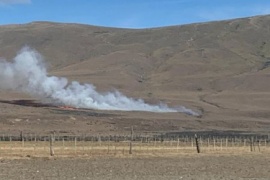 Brigadistas combaten incendio originado en Ea. Santa Teresita