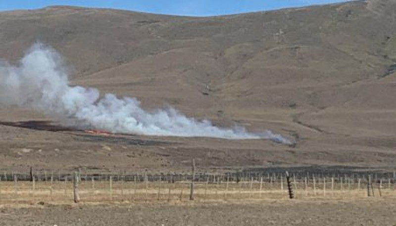 Brigadistas combaten incendio originado en Ea. Santa Teresita