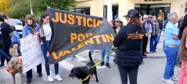 Marcha contra el maltrato animal en el Izamiento dominical