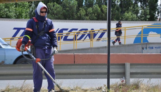 Se realizaron tareas de mantenimiento en el cesped de la Autovía.